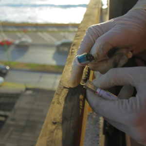 Monitoreo sustentable: ¿más datos o reciclar los existentes?