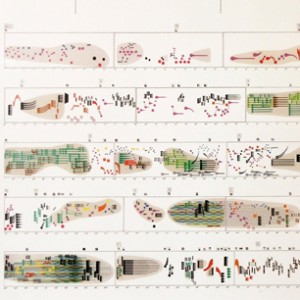 «Cartografías sonoras. Instrumento disciplinar para pensar-experimentar el espacio»