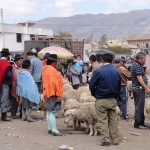 «Valoración del paisaje como herramienta de análisis en el ordenamiento urbano»