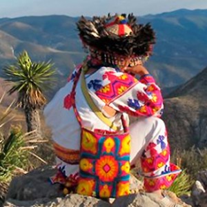 «Los Huicholes en su arcaica lucha territorial Defendiendo Wirikuta en un esquema multicultural»