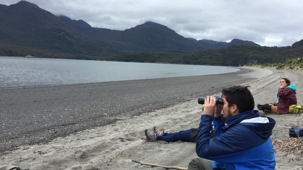 Imagen 1. Práctica de avistamiento de delfines en la región de Aysén.